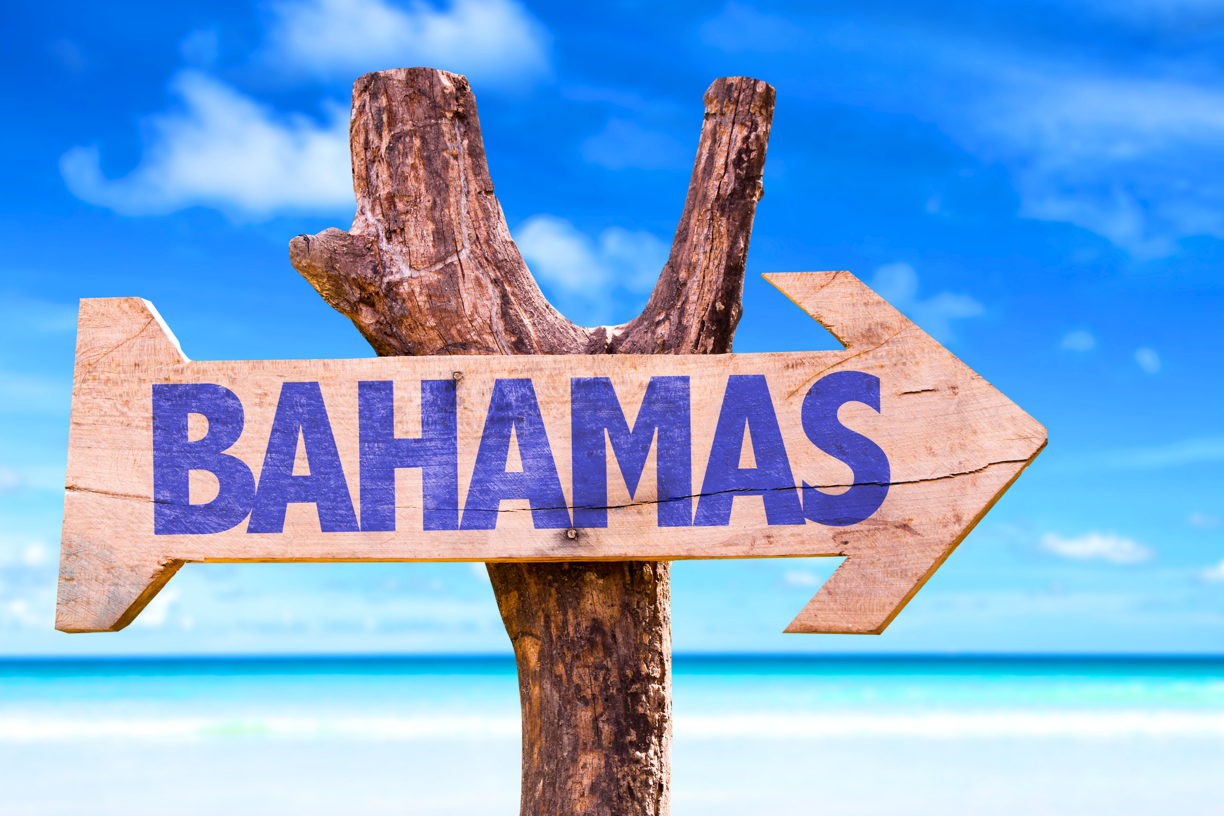 211 bahamas.webp